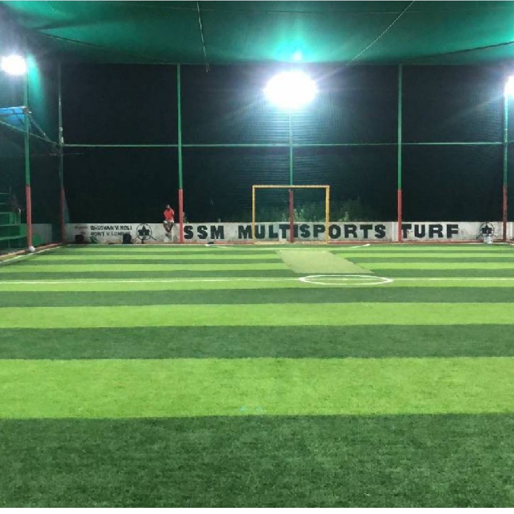 Artificial Grass Double Layer