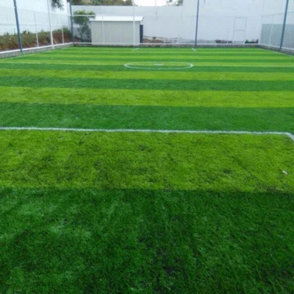 Artificial Grass Double Layer
