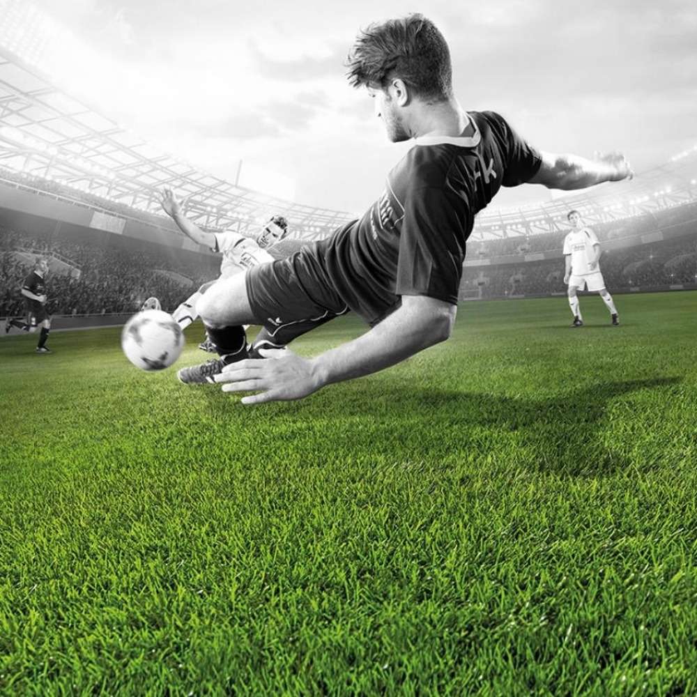 Sports Grass