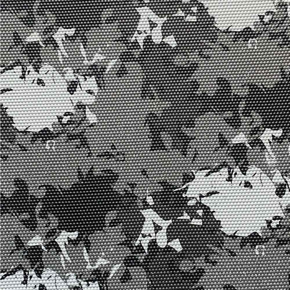 Pulsar Printed 1173